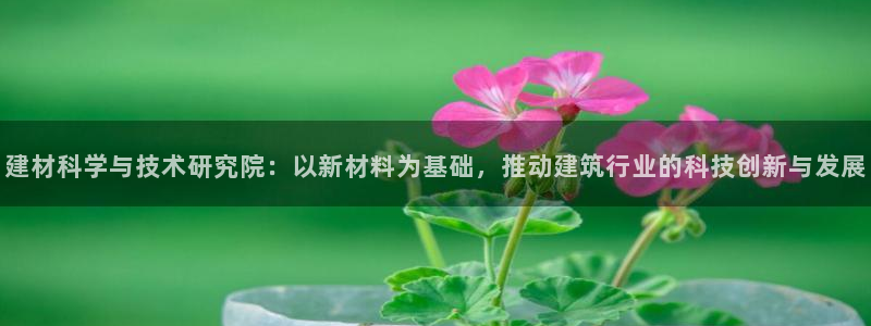 电子cq9游戏门户：建材科学与技术研究院：以新材料为基础，推