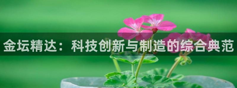 cq9电子冰球爆分：金坛精达：科技创新与制造的综合典范
