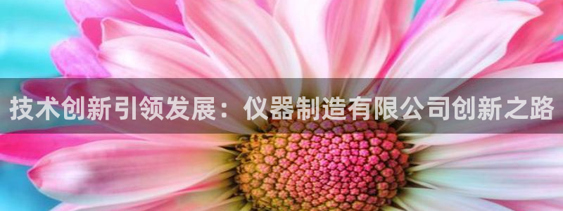 cq9电子游戏窍门：技术创新引领发展：仪器制造有限公司创新之