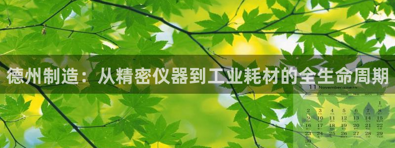 cq9电子维护前后：德州制造：从精密仪器到工业耗材的全生命周