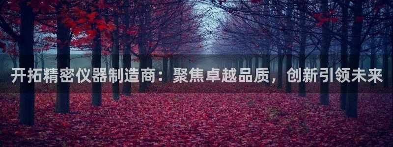cq9传奇电子跳：开拓精密仪器制造商：聚焦卓越品质，创新引领