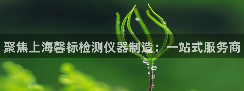 网赌电子CQ9爆分视频：聚焦上海馨标检测仪器制造：一站式服务