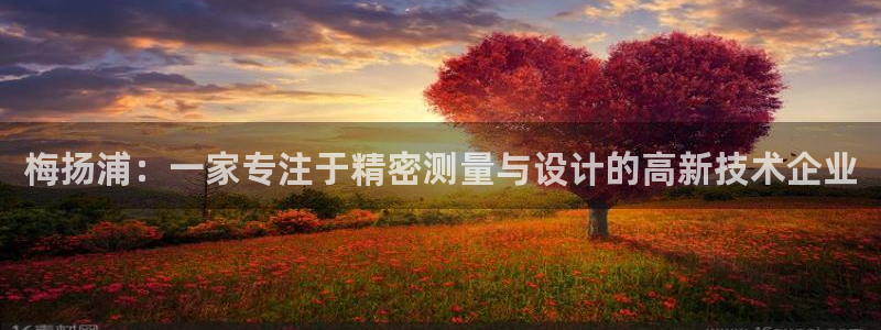 cq9电子雪之吻：梅扬浦：一家专注于精密测量与设计的高新技术