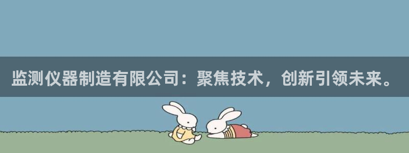 cq9电子飞霸：监测仪器制造有限公司：聚焦技术，创新引领未来
