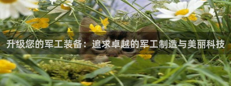 cq9电子糖果：升级您的军工装备：追求卓越的军工制造与美丽科