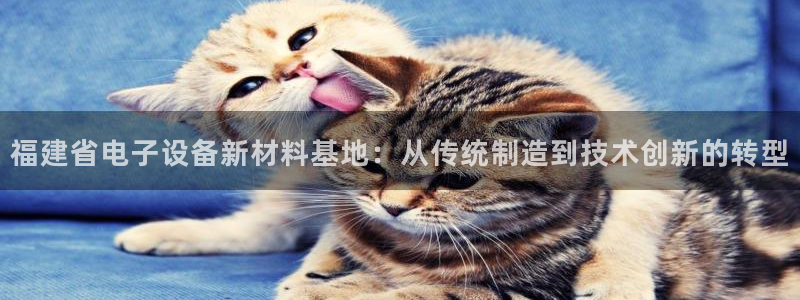 cq9传奇电子 水世界：福建省电子设备新材料基地：从传统制造