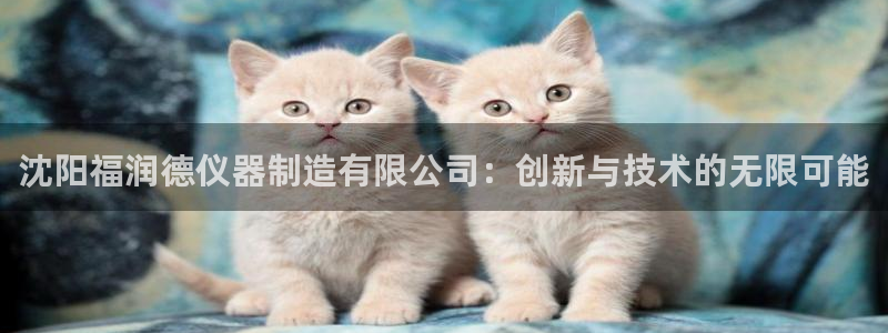cq9电子卡球：沈阳福润德仪器制造有限公司：创新与技术的无限
