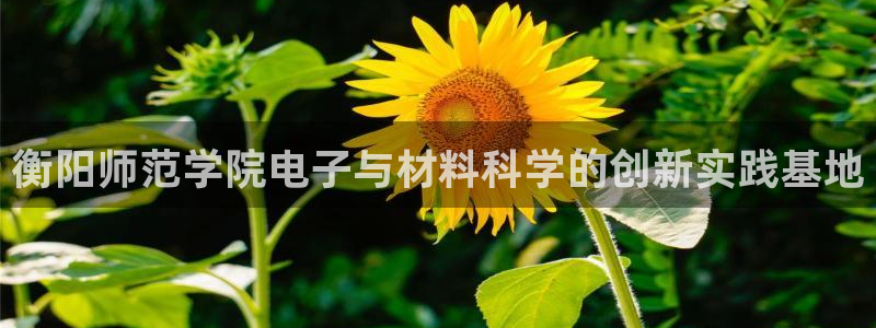 电子cq9是啥软件：衡阳师范学院电子与材料科学的创新实践基地