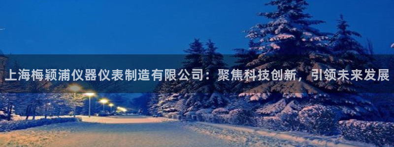 电子游戏cq9宙斯：上海梅颖浦仪器仪表制造有限公司：聚焦科技