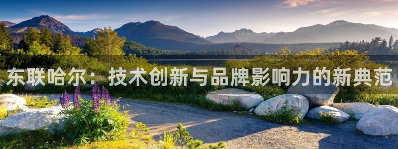 cq9传奇电子投注技巧：东联哈尔：技术创新与品牌影响力的新典