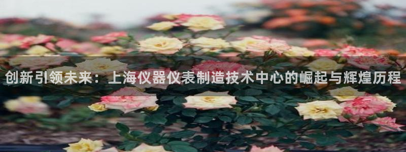 CQ9电子游戏该怎么玩：创新引领未来：上海仪器仪表制造技术中