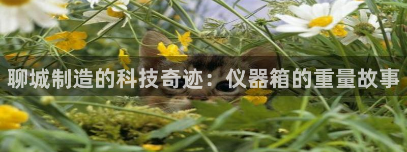 cq9传奇电子宙斯：聊城制造的科技奇迹：仪器箱的重量故事