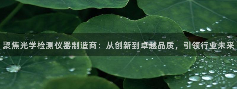 cq9电子退了大分追杀：聚焦光学检测仪器制造商：从创新到卓越
