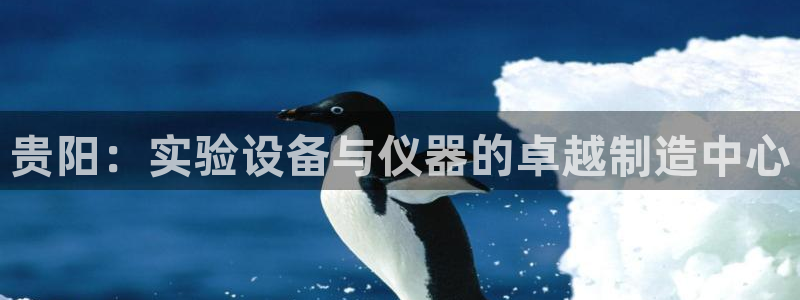 cq9电子登录地址：贵阳：实验设备与仪器的卓越制造中心