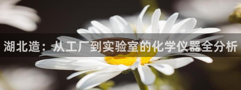 cq9电子冰雪女王：湖北造：从工厂到实验室的化学仪器全分析