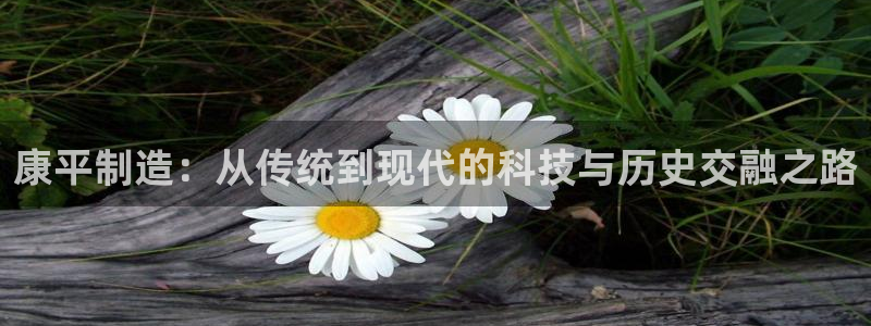 cq9电子有漏洞吗：康平制造：从传统到现代的科技与历史交融之