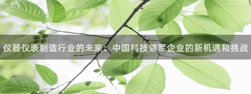cq9电子怎样下载：仪器仪表制造行业的未来：中国科技领军企业