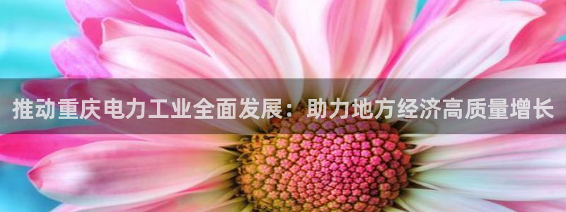 cq9传奇电子宙斯：推动重庆电力工业全面发展：助力地方经济高
