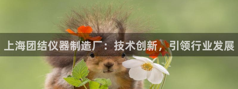 cq9电子官方入口：上海团结仪器制造厂：技术创新，引领行业发