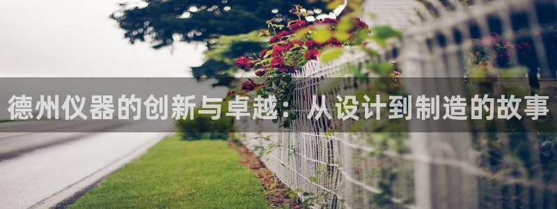 cq9传奇电子神龙秘宝：德州仪器的创新与卓越：从设计到制造的