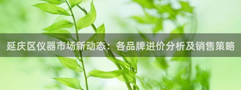 cq9电子双飞大奖：延庆区仪器市场新动态：各品牌进价分析及销