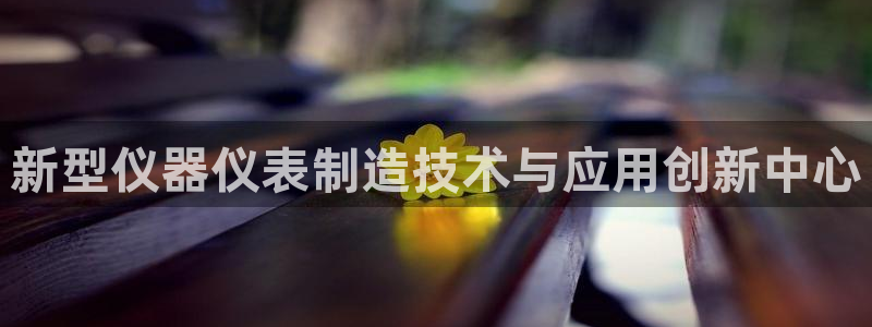 cq9电子旗舰：新型仪器仪表制造技术与应用创新中心