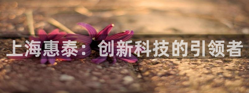 cq9电子跳高高网址：上海惠泰：创新科技的引领者