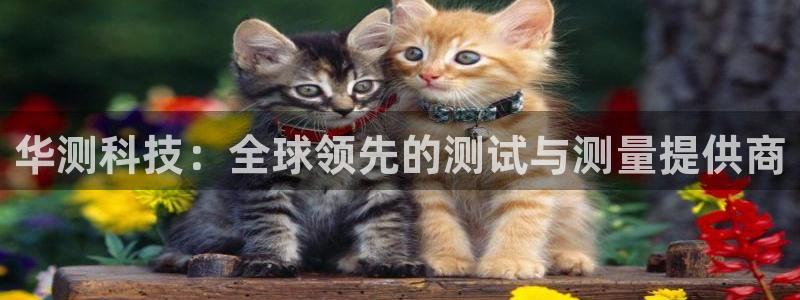 cq9电子套路：华测科技：全球领先的测试与测量提供商