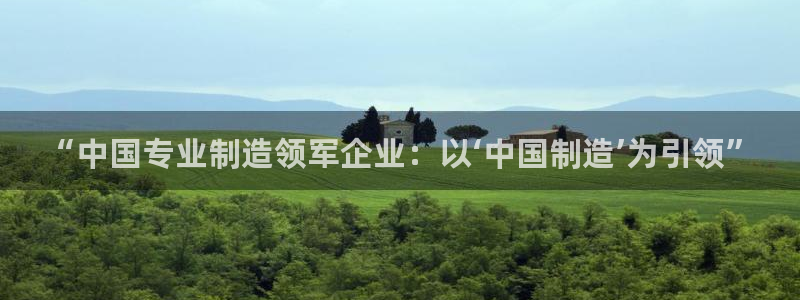 免费MG CQ9 电子：“中国专业制造领军企业：以‘中国制造