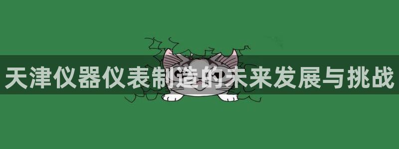 cq9武圣电子爆分技巧：天津仪器仪表制造的未来发展与挑战