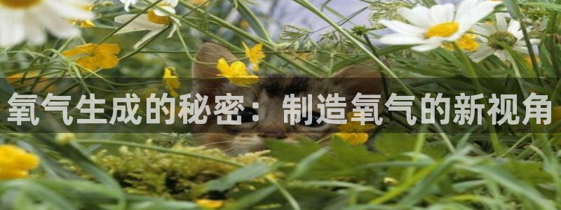 cq9电子接口