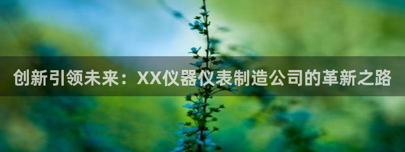 cq9电子特色游戏：创新引领未来：XX仪器仪表制造公司的革新