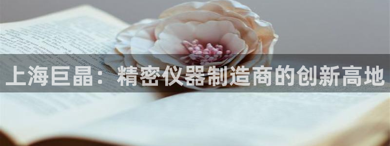 cq9电子有多假：上海巨晶：精密仪器制造商的创新高地