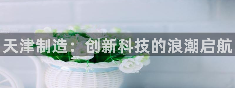 cq9电子平台网站下载：天津制造：创新科技的浪潮启航