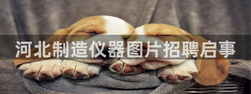 cq9电子极速赚钱：河北制造仪器图片招聘启事