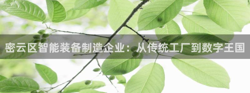 cq9电子游戏网站：密云区智能装备制造企业：从传统工厂到数字