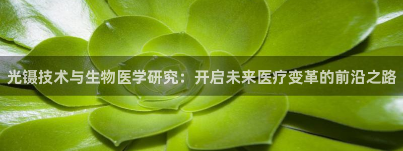 网赌电子CQ9爆分视频：光镊技术与生物医学研究：开启未来医疗
