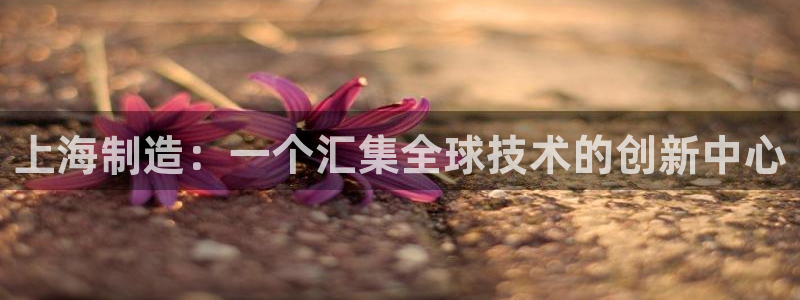电子cq9财宝宫殿：上海制造：一个汇集全球技术的创新中心