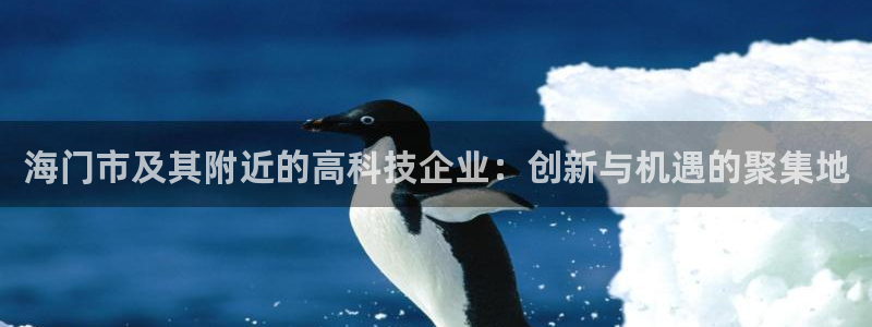 cq9电子黑豹：海门市及其附近的高科技企业：创新与机遇的聚集