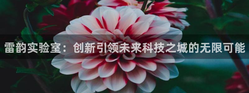 cq9电子666爆分：雷韵实验室：创新引领未来科技之城的无限