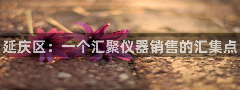 CQ9电子坑人：延庆区：一个汇聚仪器销售的汇集点