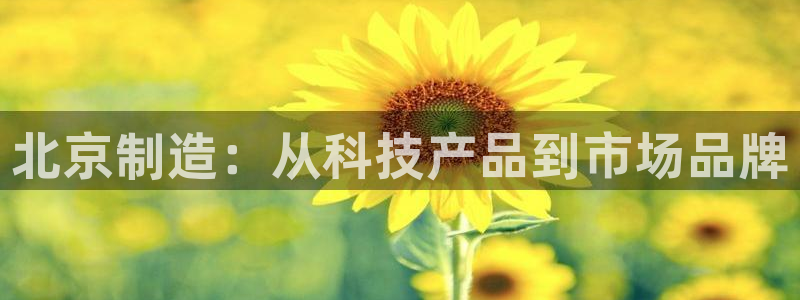 电子cq9游戏门户：北京制造：从科技产品到市场品牌