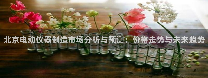 cq9传奇电子论坛：北京电动仪器制造市场分析与预测：价格走势