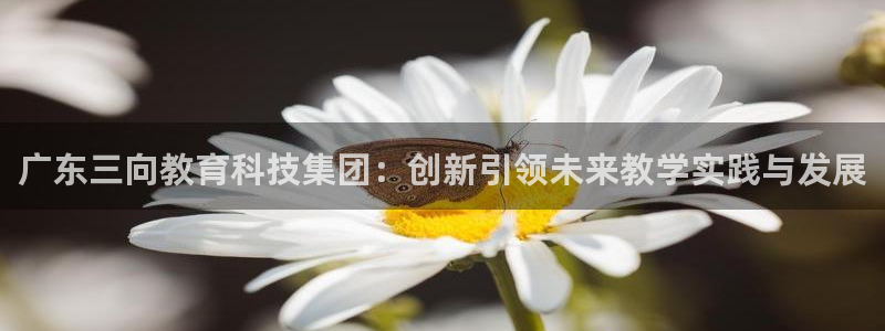 cq9电子体验：广东三向教育科技集团：创新引领未来教学实践与