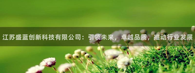 cq9电子神偷：江苏盛蓝创新科技有限公司：引领未来，卓越品质