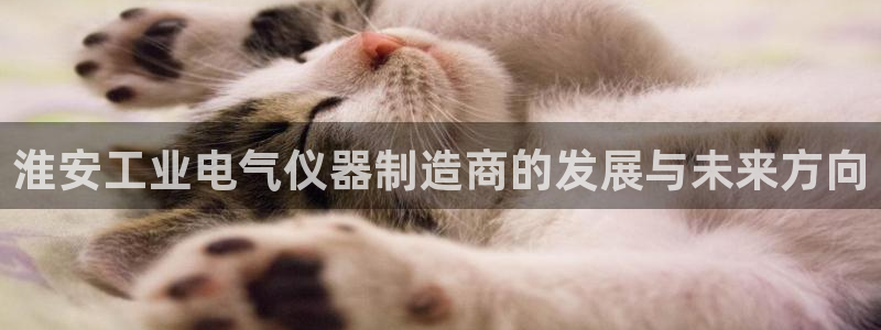 cq9电子游戏666：淮安工业电气仪器制造商的发展与未来方向