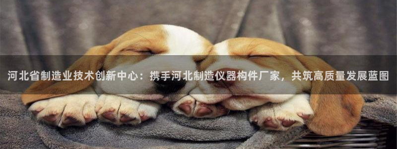 cq9电子财神视频：河北省制造业技术创新中心：携手河北制造仪