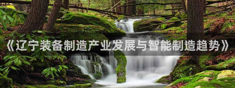 cq9电子特色游戏：《辽宁装备制造产业发展与智能制造趋势》