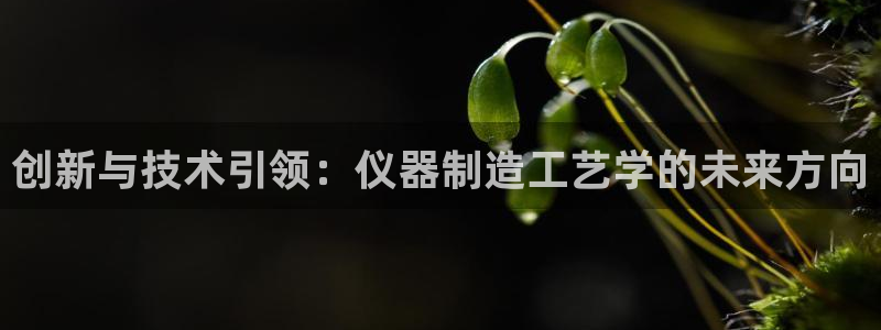 cq9电子哪吒再临：创新与技术引领：仪器制造工艺学的未来方向