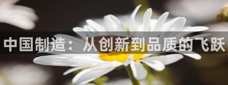 cq9电子火凤凰：中国制造：从创新到品质的飞跃